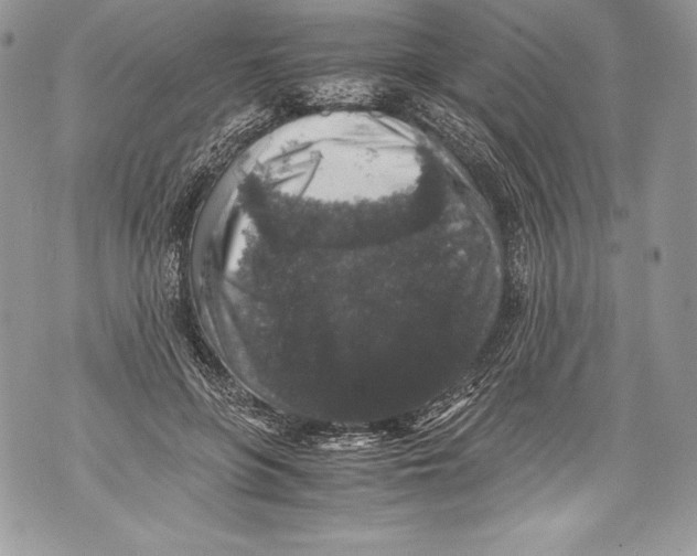 X0000071860551200607290200