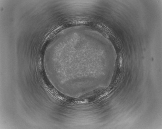 X0000071860552200607290200