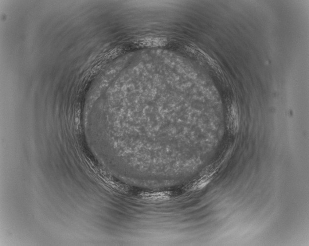 X0000071860553200607290200