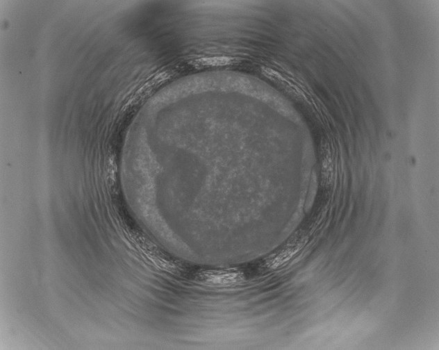 X0000071860555200607290200