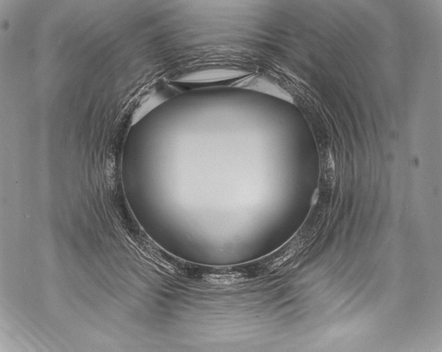 X0000071860556200607290200