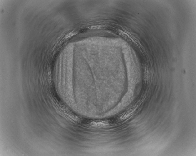 X0000071860557200607290200