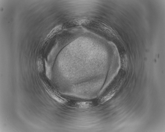 X0000071860558200607290200