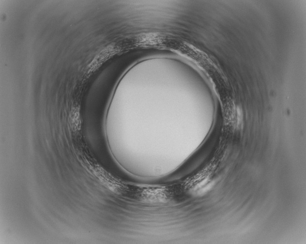 X0000071860560200607290200