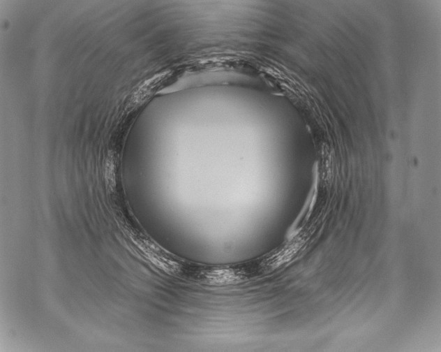 X0000071860562200607290200