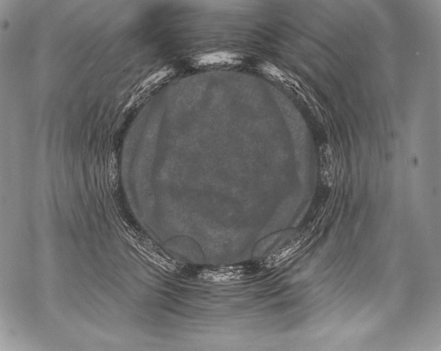 X0000071860563200607290200