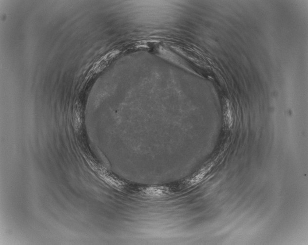 X0000071860566200607290200