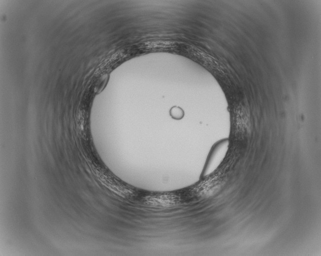 X0000071860567200607290200