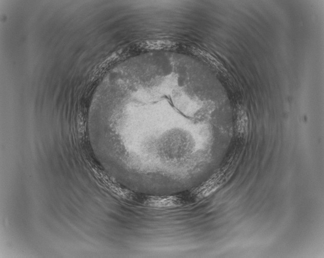 X0000071860569200607290200