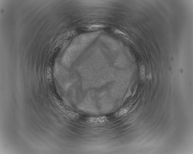 X0000071860571200607290200