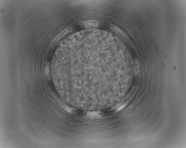 X0000071860573200607290200