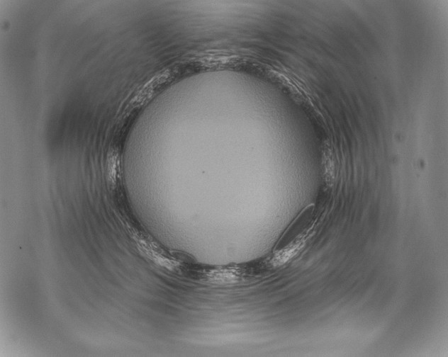 X0000071860574200607290200