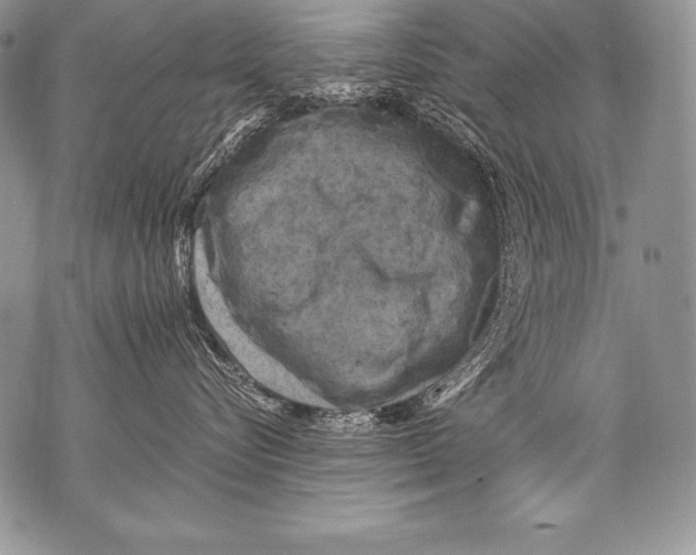 X0000071860576200607290200