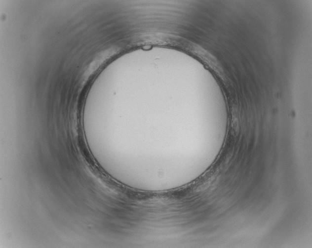 X0000071860578200607290159