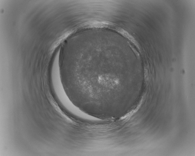 X0000071860581200607290159