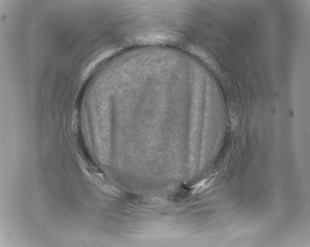 X0000071860583200607290159