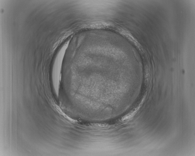 X0000071860585200607290159