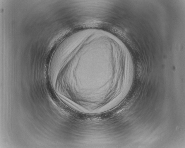 X0000071860586200607290159