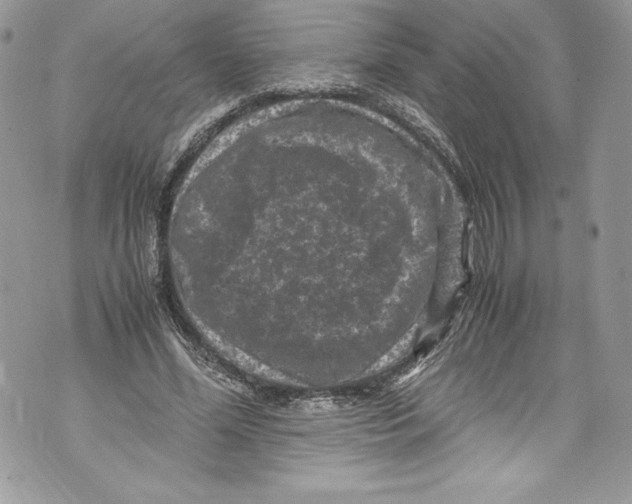 X0000071860588200607290159