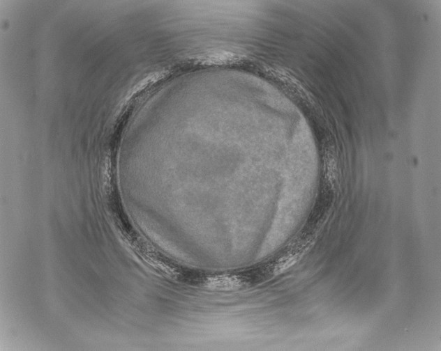 X0000071860591200607290159