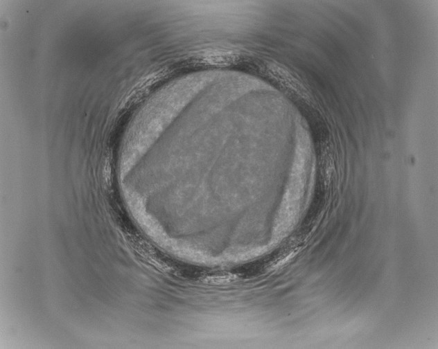 X0000071860595200607290159