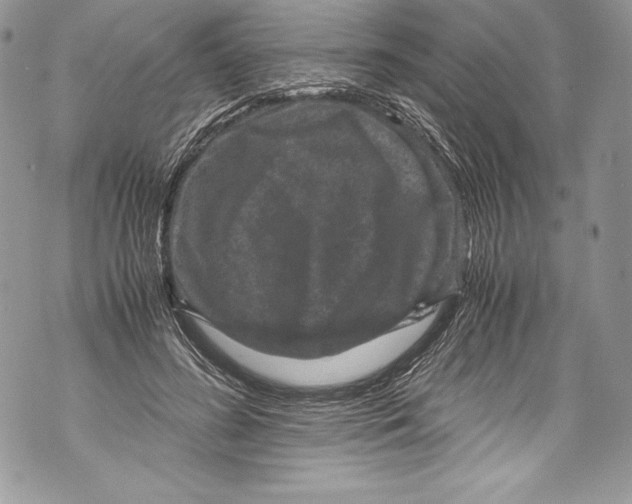 X0000071860596200607290159