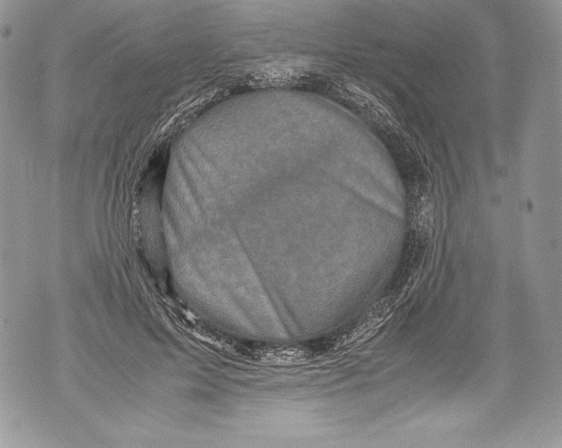 X0000071860599200607290159