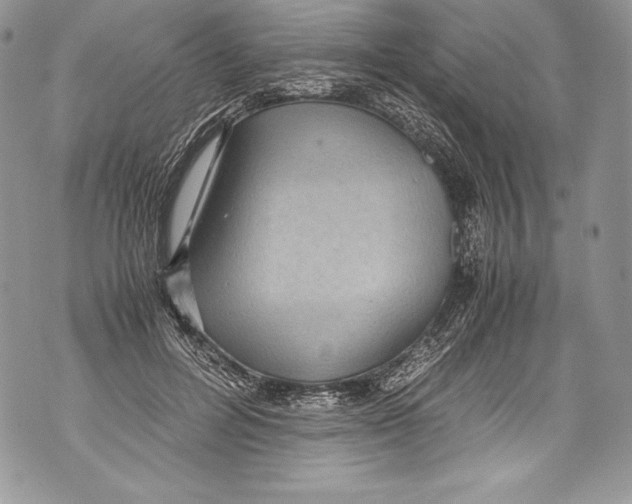 X0000071860600200607290159