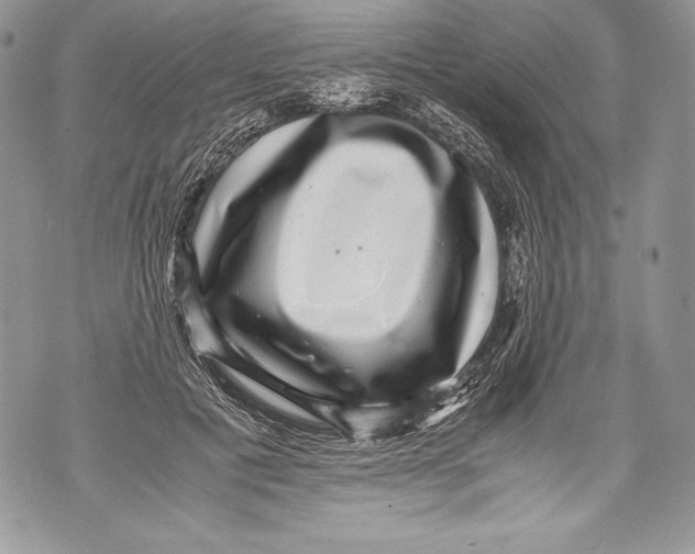 X0000071860601200607290159