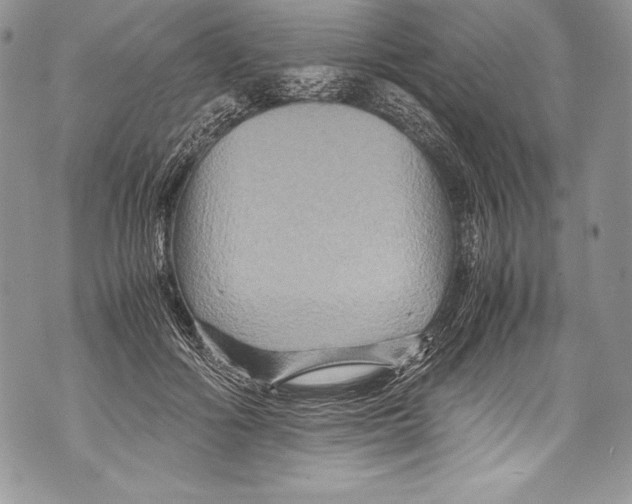 X0000071860602200607290159