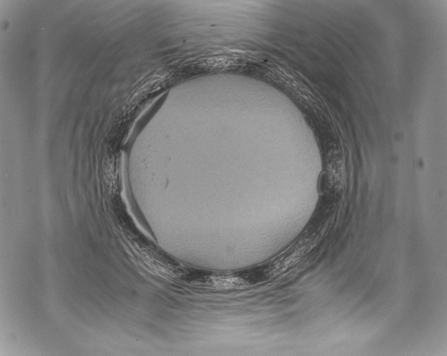 X0000071860605200607290159