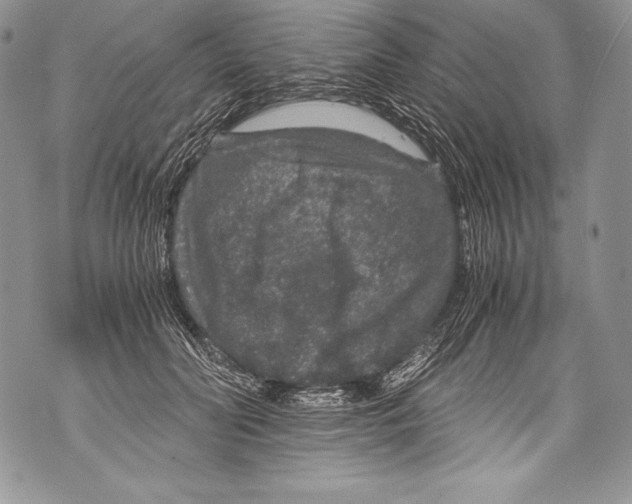 X0000071860606200607290159