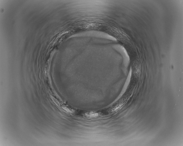 X0000071860607200607290159