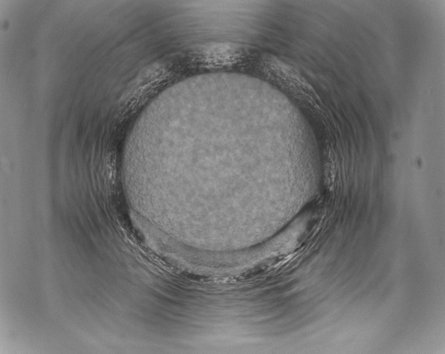 X0000071860608200607290159