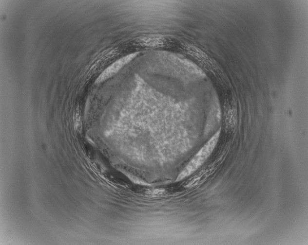 X0000071860609200607290159