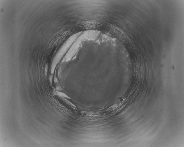 X0000071860610200607290159