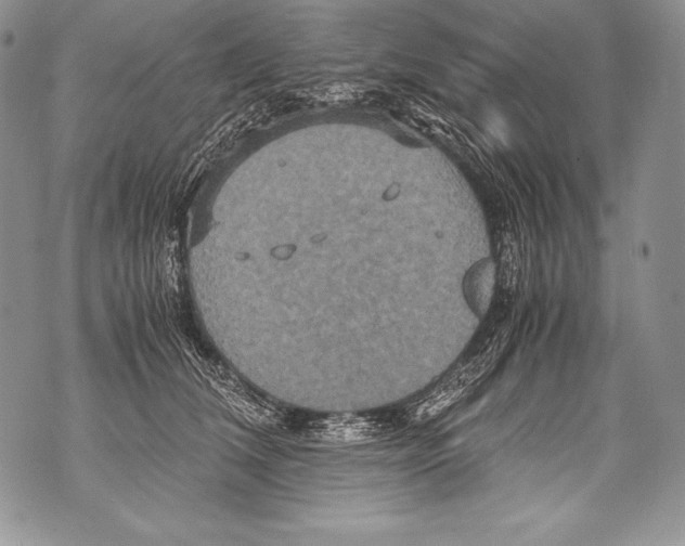 X0000071860612200607290159