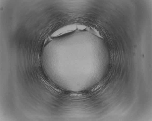 X0000071860614200607290159