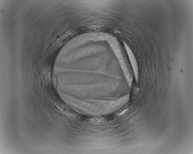 X0000071860615200607290159