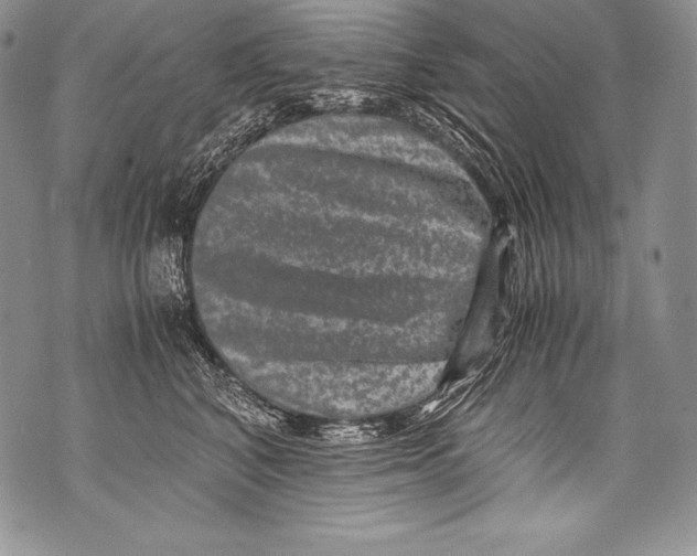 X0000071860616200607290159