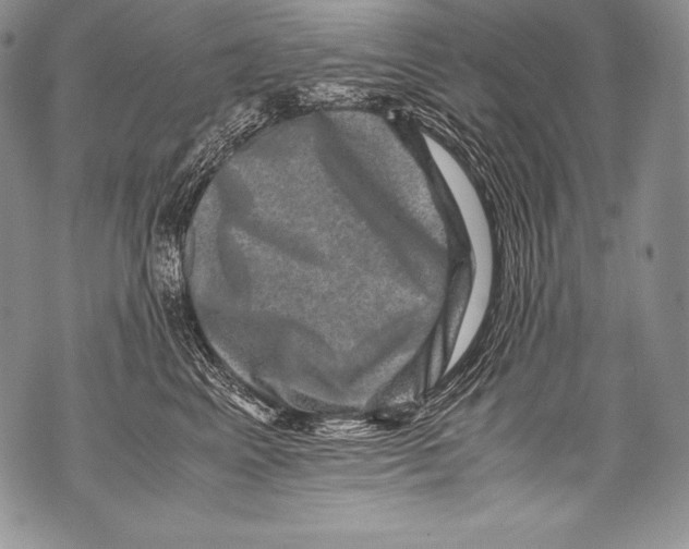 X0000071860617200607290159