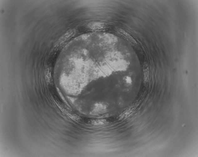 X0000071860618200607290159