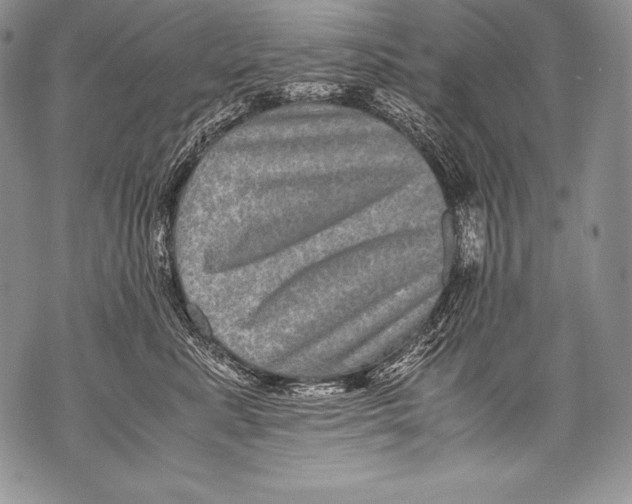 X0000071860619200607290159