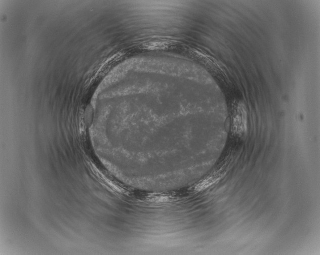 X0000071860620200607290159