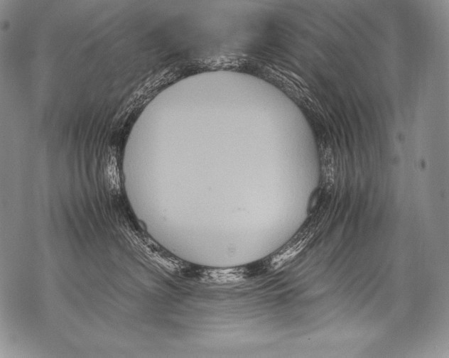 X0000071860622200607290159