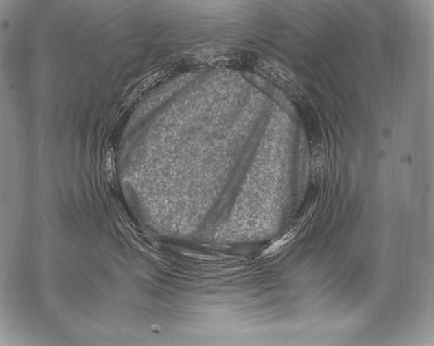 X0000071860623200607290159