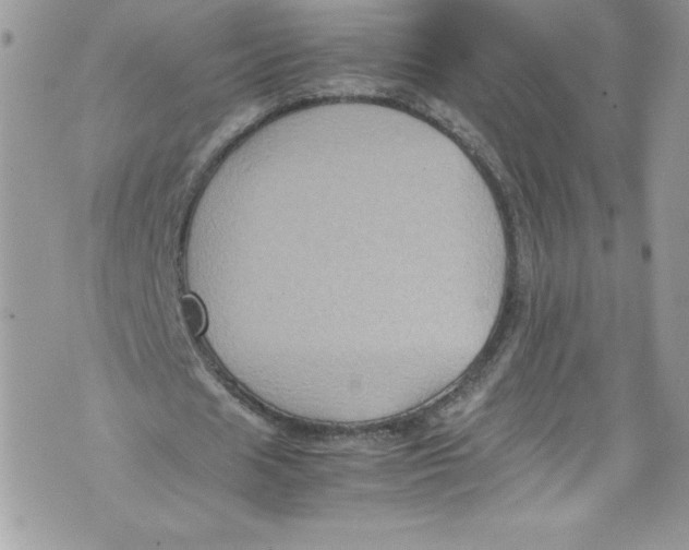 X0000071860625200607290158