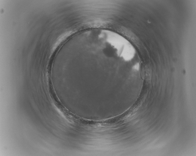 X0000071860626200607290158