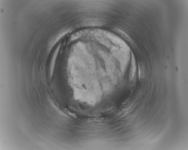 X0000071860627200607290158