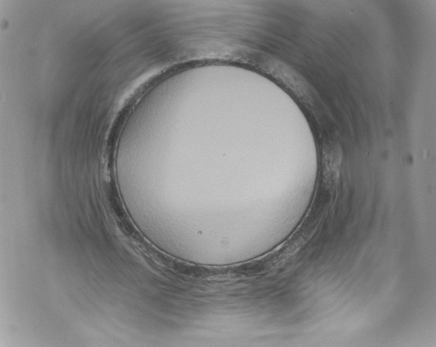 X0000071860628200607290158